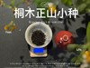【家有好茶】2025桐木正山小种红茶，一呼一吸都是花蜜香与桂圆果香，丰腴，甘爽，和美 商品缩略图5