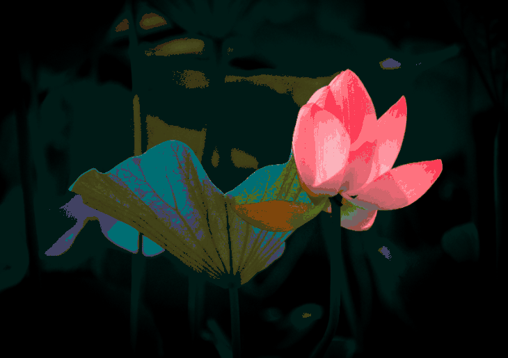 嘴里总“放屁”？原来胃里藏着1级致ai物！只需一招，口臭、胃痛、反酸都消失！！