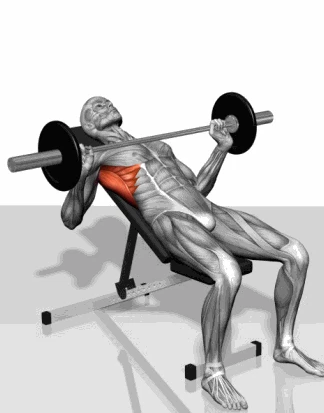 undefined ScreenShot_2026-01-06_170904_499.png