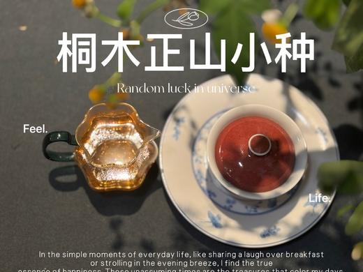 【家有好茶】2025桐木正山小种红茶，一呼一吸都是花蜜香与桂圆果香，丰腴，甘爽，和美 商品图6