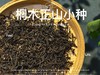 【家有好茶】2025桐木正山小种红茶，一呼一吸都是花蜜香与桂圆果香，丰腴，甘爽，和美 商品缩略图3