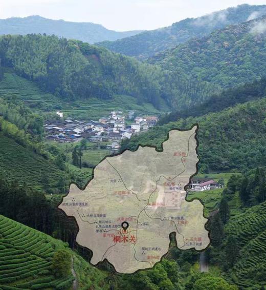 福健红・定山河金骏眉礼盒 | 金骏眉茶香溢满园，钢琴烤漆礼盒款更显贵 商品图5