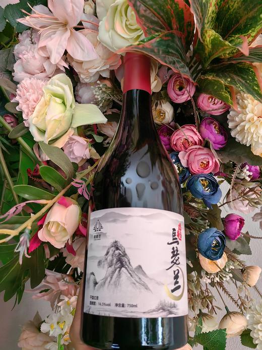 2023年份马瑟兰干型红酒 商品图3