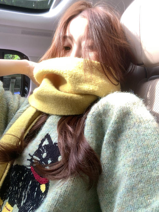 <曾小咸推荐> 2.5 现货秒杀 ！微信超特价！韩系小猫刺绣毛衣 日常209.99 立减120 秒杀89.99！！ 商品图7