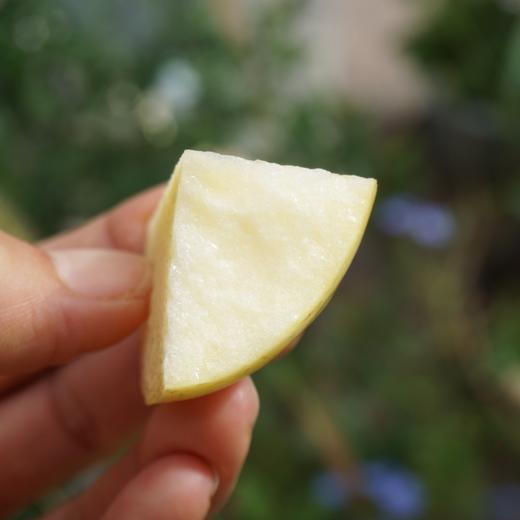 010宁夏奶油富士 皮薄肉脆 酸甜适中 汁水充盈 黄河边沙漠里的珍宝 商品图4