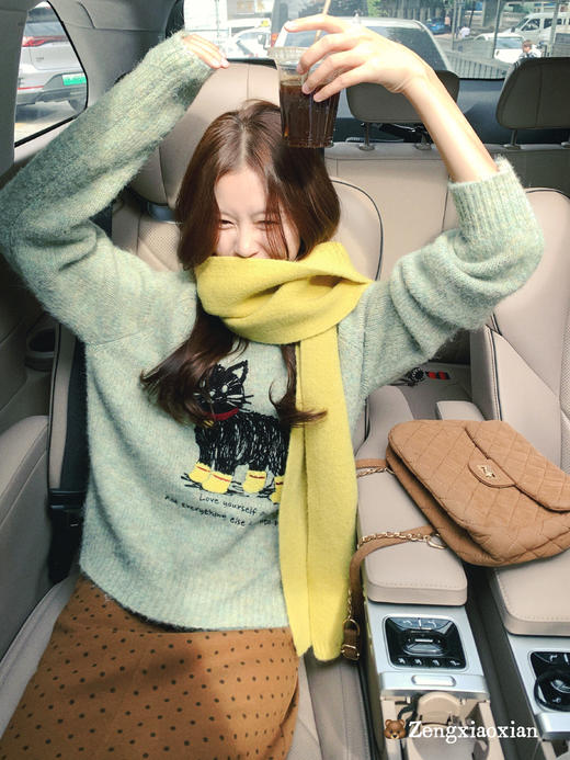 <曾小咸推荐> 2.5 现货秒杀 ！微信超特价！韩系小猫刺绣毛衣 日常209.99 立减120 秒杀89.99！！ 商品图5