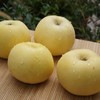 010宁夏奶油富士 皮薄肉脆 酸甜适中 汁水充盈 黄河边沙漠里的珍宝 商品缩略图1