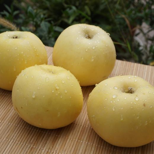 010宁夏奶油富士 皮薄肉脆 酸甜适中 汁水充盈 黄河边沙漠里的珍宝 商品图1