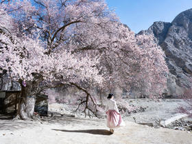 春漫南疆 | 新疆帕米尔高原6/8日寻春之旅