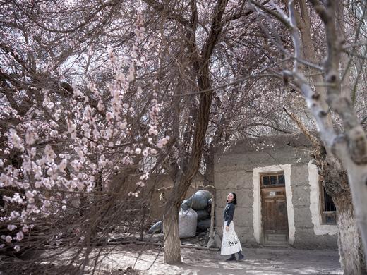 春漫南疆 | 新疆帕米尔高原6/8日寻春之旅 商品图8