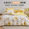 【399元搞定一张床】多喜爱 床品一站式购齐【牛奶绒套件+8斤大豆加厚冬被+抑菌对枕】多种款式可选 商品缩略图2