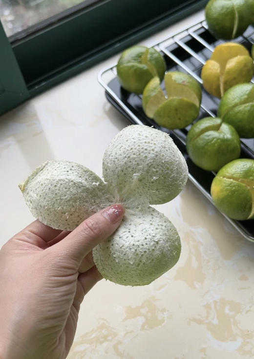 【北京同仁堂陈皮】 商品图2