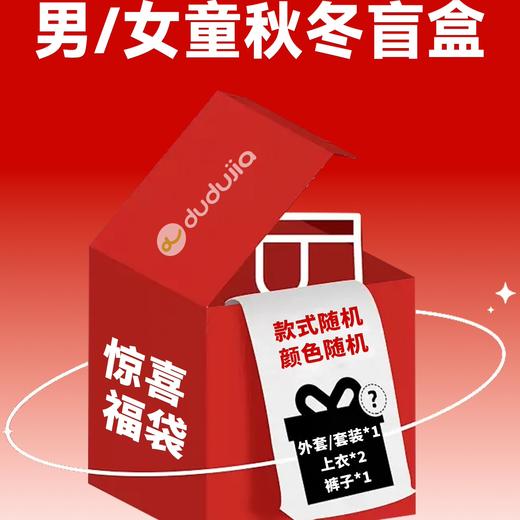 【嘟嘟家盲盒福袋-内含4件】儿童衣服秋冬装清仓盲盒童装颜色款式随机！（盲盒产品非质量问题不退不换，介意勿拍） 商品图3