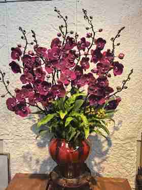 蝴蝶兰霓虹灯12支