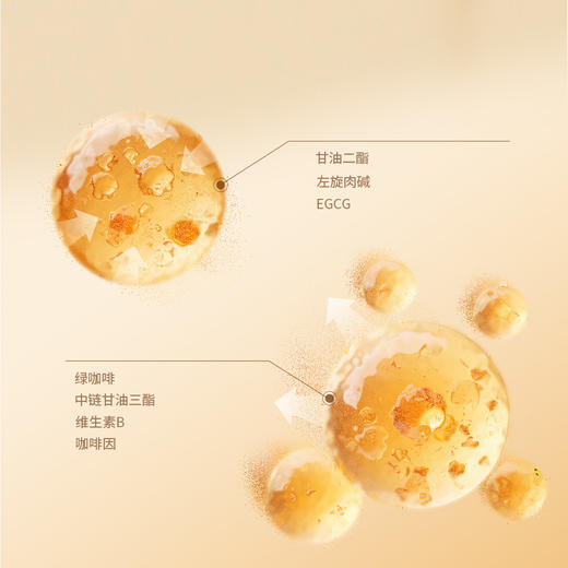 KGOS甘油二酯咖啡固体饮料 5g×12袋 商品图2