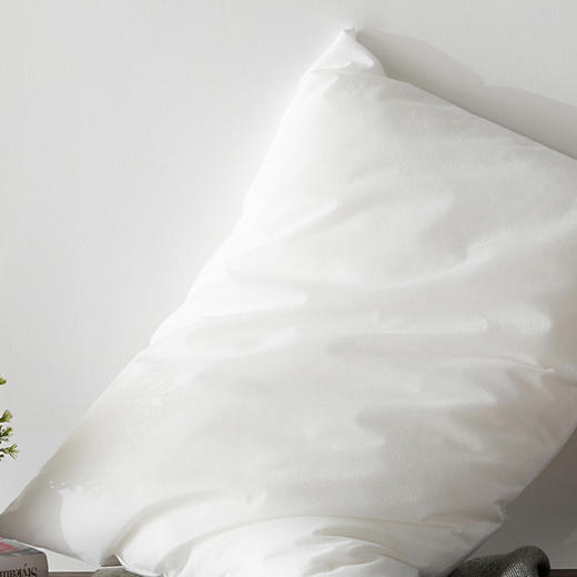 梦洁 净雅魅香枕-对枕 商品图1