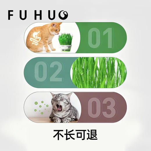 【爆款热卖】俘获F2轻松猫草盆栽种植助化毛懒人猫草猫薄荷猫咪零食用品 商品图4