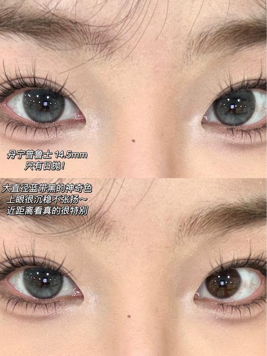 Bollycon日抛 胡桃奇想 棕/丹宁普鲁士 蓝 14.5mm 一盒十片装 日抛无售后！！ 商品图1