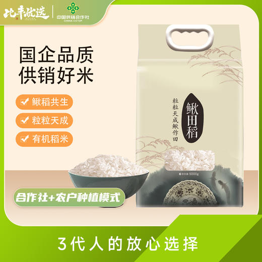 鳅田稻米10斤家庭包装 商品图0