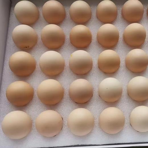 丨有机丨巴山黑凰后鸡蛋 黑鸡鸡蛋（粉壳） 商品图8