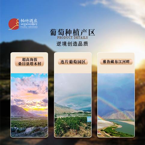 自营（帕竹）-西藏帕竹酒庄红标木质礼盒 聚会 送礼 微醺 商品图4