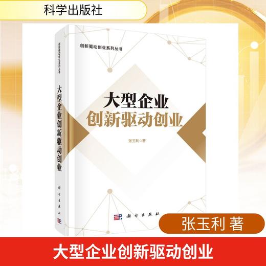 大型企业创新驱动创业 商品图0