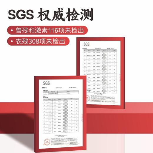 伍香香冷吃千层肚500g（川香红油味） 开袋即食 年夜饭硬菜 甄选非边角料千层肚 净水洗无酶发 商品图9