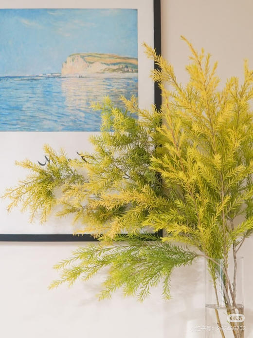 【千层金 】原色 若干枝/扎（秋冬季颜色偏秋色） 商品图0