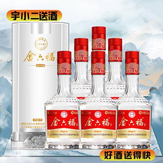 金六福祥福玖号500ml*6 商品图0