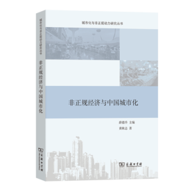 非正规经济与中国城市化(城市化与非正规动力研究丛书)
