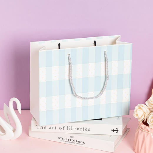 格子礼袋S-纪念日百货门店同款169603721 商品图2