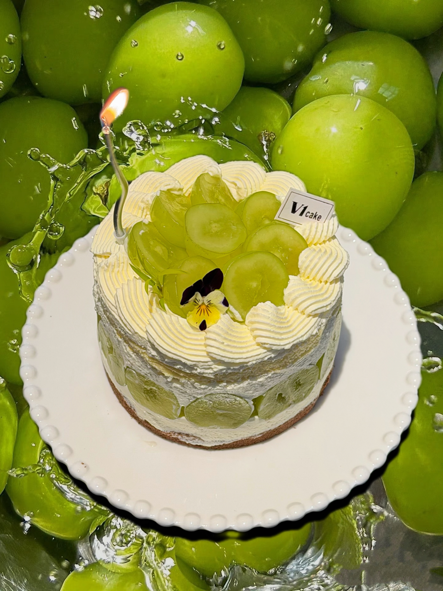 青提小蕾蕾 四 寸【到店自提】