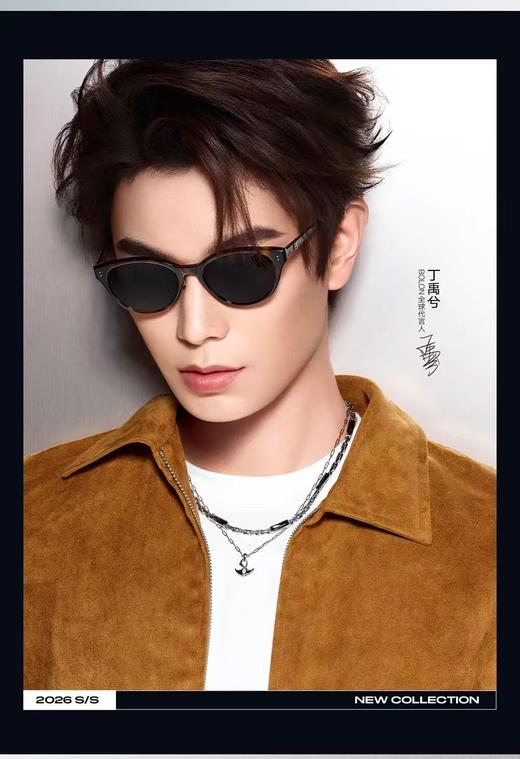 暴龙眼镜太阳镜BL3262 商品图0