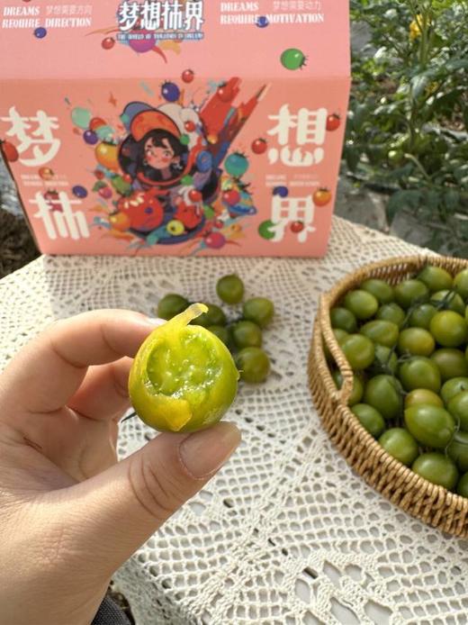 【青小番小番茄】低卡无负担，但维生素含量是普通番茄1.8倍-CC 商品图1