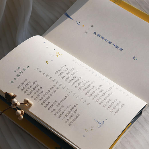 声音里住着小野兽  26届深圳读月书“年度十大童书”奖 商品图3