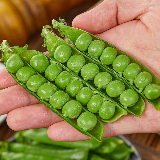 云南高原新鲜豌豆 |  当季青豆角嫩豆 颗粒饱满 一口清甜脆嫩  露天种植 现摘现发  煲汤/炒菜 商品图4