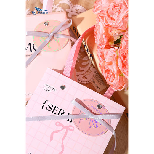 温柔絮语礼品袋S礼袋-纪念日百货门店同款169644696 商品图3