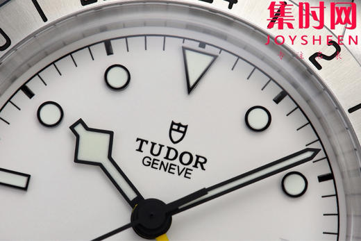 ZF帝舵碧湾系列专业型M79470 男士腕表 表径39mm 以时光为翼 赴天地之约 商品图3