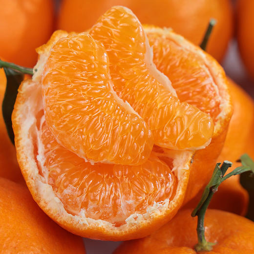 四川新鲜春见耙耙柑5斤装现摘现发香甜多汁 商品图8