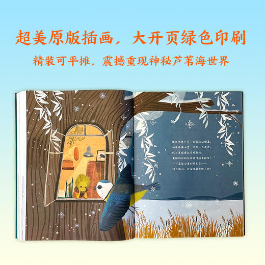 《在冬天感谢夏天》精装一册 7-12岁 精美原版插画 四季生态写作 兼容科普知识 寓教于乐   匈牙利国家文学奖得主经典儿童作品 商品图0
