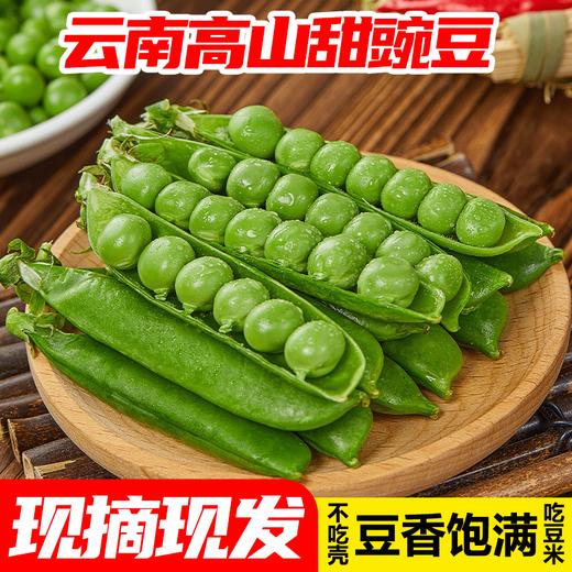 云南高原新鲜豌豆 |  当季青豆角嫩豆 颗粒饱满 一口清甜脆嫩  露天种植 现摘现发  煲汤/炒菜 商品图1