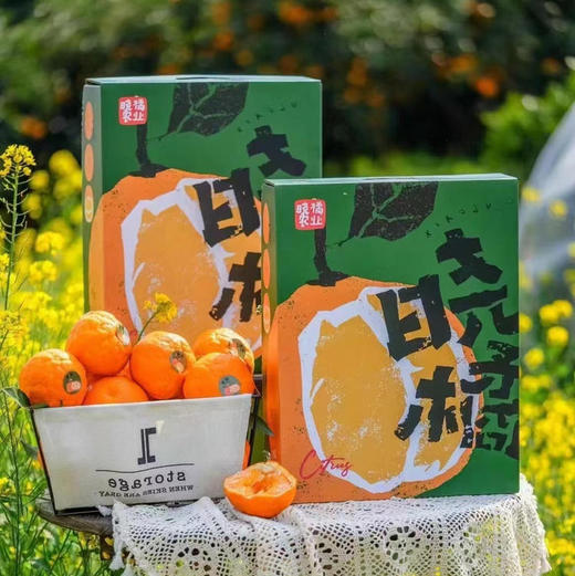 春见🧐又到一年甜蜜春见时刻🍊——春见耙耙柑一直做顶尖🍊的领头羊口感自然是没的说[色]超完美💯 商品图5