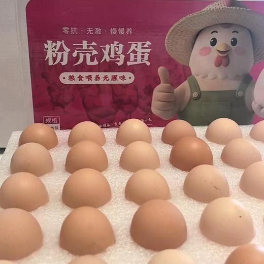 丨有机丨巴山黑凰后鸡蛋 黑鸡鸡蛋（粉壳） 商品图5