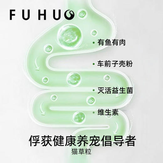 【爆款热卖】俘获益生菌猫草粒冻干猫咪零食助排毛车前子 商品图3