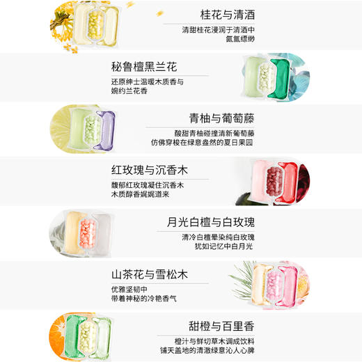 绽家蓝桉叶精油双拼 3腔香氛洗衣凝珠 留香珠护色持久留香抑菌除螨 商品图6