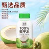 尖派 NFC椰子水 246ml*4/组 商品缩略图4
