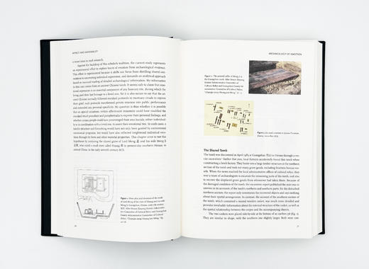 Affect and Materiality: Emotion in Chinese Art / 情动与物性：中国艺术中的情感 商品图9