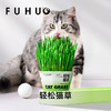 【爆款热卖】俘获F2轻松猫草盆栽种植助化毛懒人猫草猫薄荷猫咪零食用品 商品缩略图3