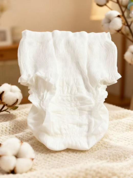 素道卫生裤 (卫生棉，有机纯棉面层) 商品图2