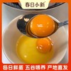 春日小新可生食鲜鸡蛋【山东必买好品】 商品缩略图11